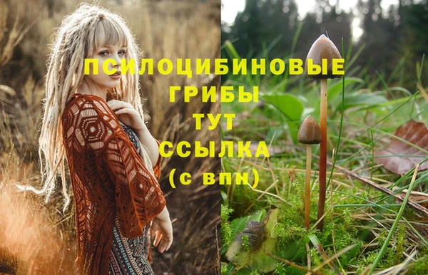 первитин Вязьма