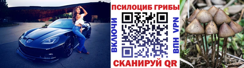 даркнет сайт  Железногорск  KRAKEN зеркало  Псилоцибиновые грибы ЛСД 